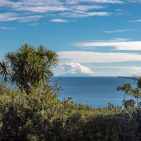 Belle View - Stay Waiheke Onetangi Kültér fotó